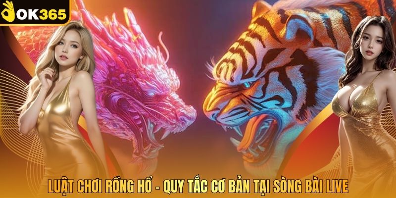 Luật Chơi Rồng Hổ - Quy Tắc Cơ Bản Tại Sòng Bài Live
